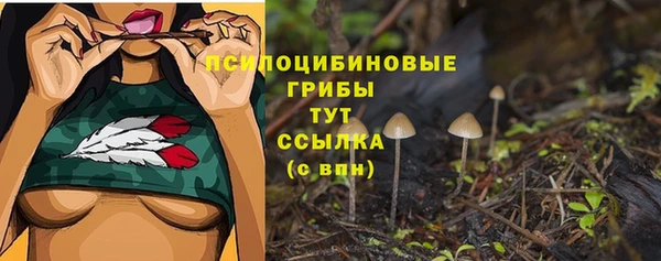 марки lsd Белокуриха