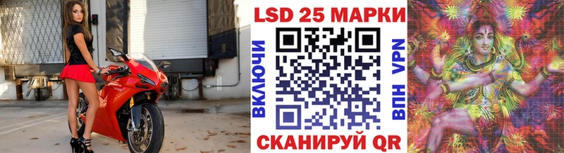 Марки NBOMe 1,5мг  купить  цена  darknet состав  Купино  hydra ССЫЛКА 
