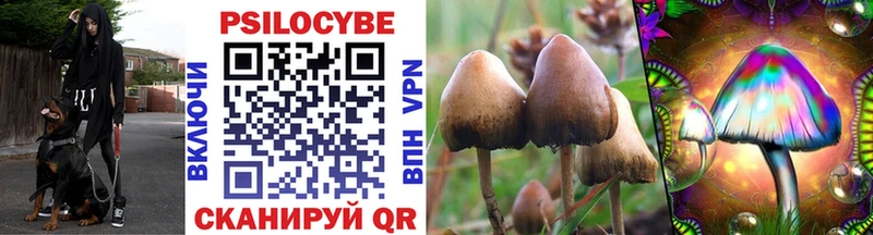 Псилоцибиновые грибы Psilocybe  наркотики  Купино 